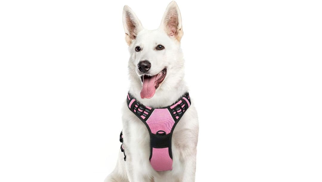 Eagloo Anti-Jump Dog Harness